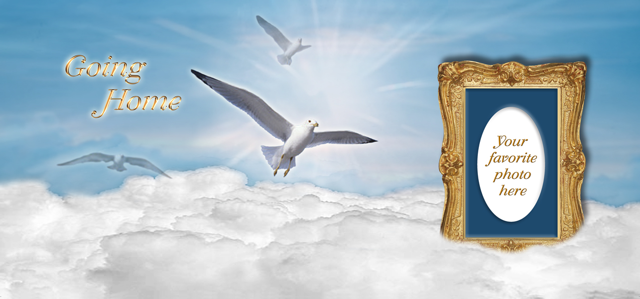 Going Home Clouds Birds Blue